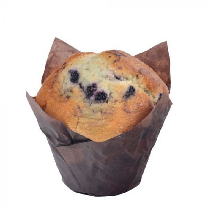 Muffin tulip outlet